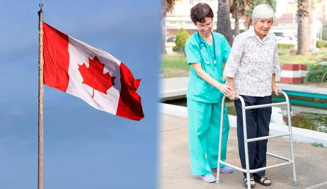 El programa de cuidado de adultos mayores puede incluir residencia para la persona trabajadora y sus familiares directos. Foto: composición LR/AAP/Canadian Health Coalition