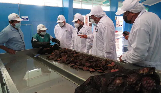 Los hombres de mar recibirán financiamiento para mejorar sus actividades. Foto: La República