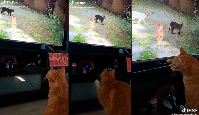 Stray se hace viral en TikTok con reacciones de gatos. Foto: Thegamedesigndiaries/TikTok