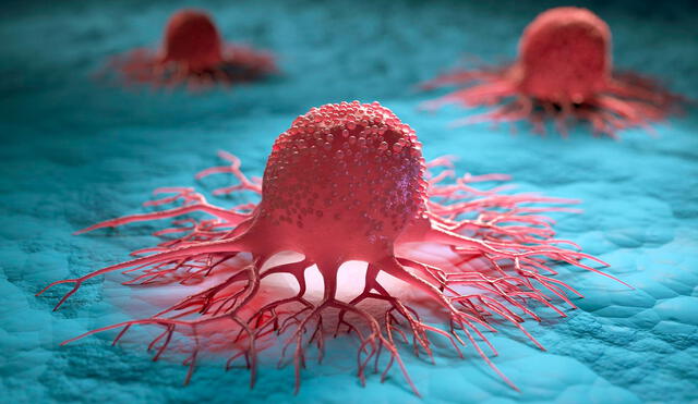 Algunos cánceres generan tumores multirresistentes. Foto: Scitech Daily
