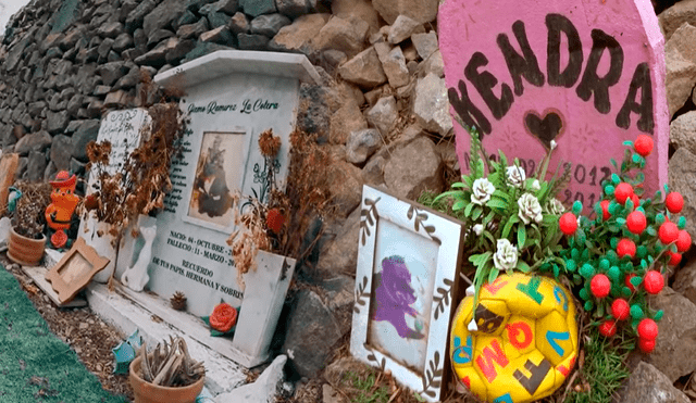Cada cierto tiempo las personas van a visitar las tumbas de sus mascotas para dejarles flores. Foto: composición/captura de YouTube