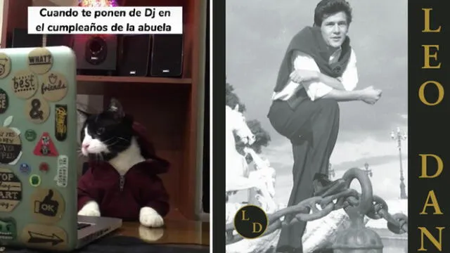 El nieto tuvo la ingeniosa idea de grabar a su gatito y colocar el remix de "Celia" de Leo Dan. Foto: composición LR/captura de TikTok