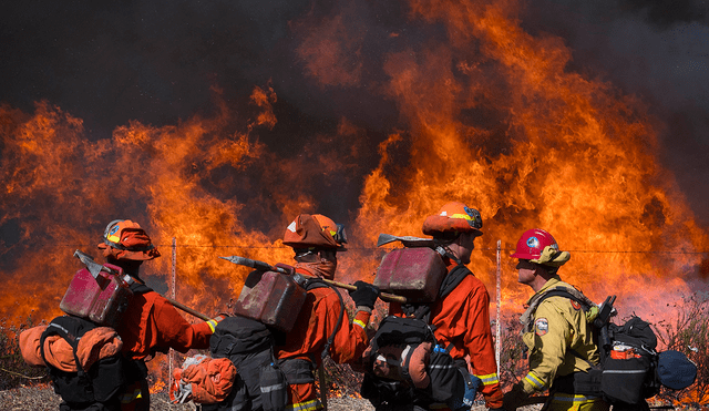 Un incendio forestal se propaga de manera alarmante en California. Foto: AFP