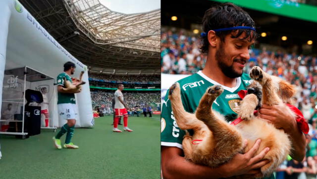 Jugadores del Verdao entrando al campo de juego con cachorros disponibles para su adopción. Foto: Composición LR/SEPalmeiras-VarskySport