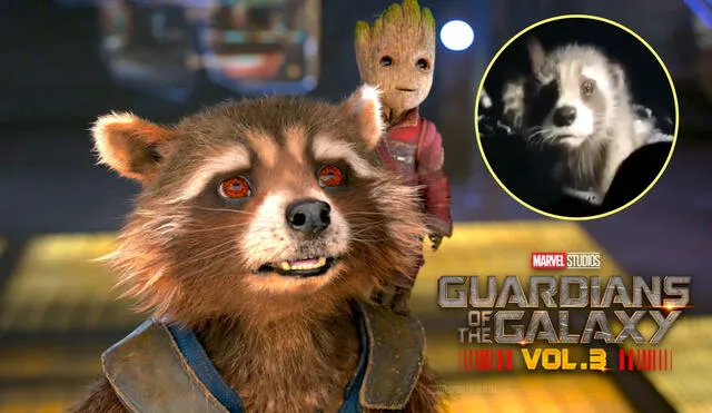 "Guardianes de la Galaxia vol. 3" se estrenará el 5 de mayo de 2023. Foto: composición LR/Marvel