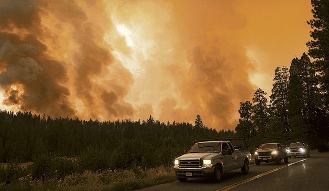 Incendio forestal. Decenas de evacuados dejan atrás miles de acres incinerados en un bosque en California. Foto: AFP