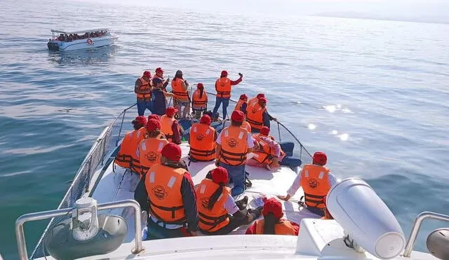 Delegaciones de las diferentes regiones estuvieron en Piura para el avistamiento de ballenas y nado con tortugas en Los Órganos. Foto: La República