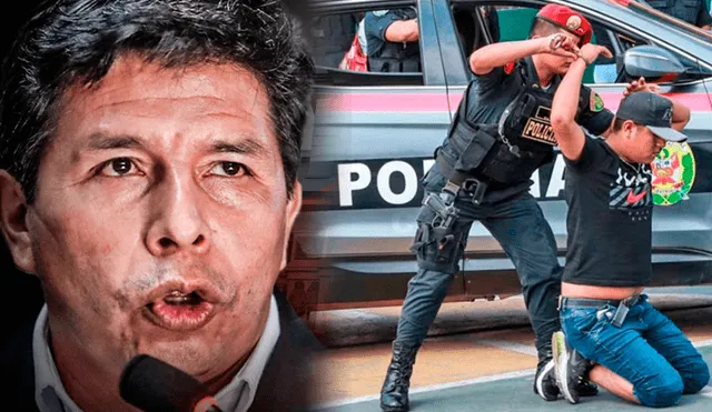 Pedro Castillo tomará medidas contra la delincuencia. Foto: composición / LR / Andina