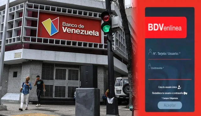 Banco BDV en Línea: Guía definitiva para la plataforma del Banco de Venezuela