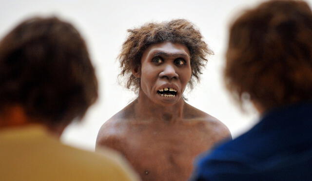 Representación de un hombre de Neanderthal en una exhibición del Museo Nacional de Prehistoria en Reino Unido. Foto: Pierre Andrieu / AFP