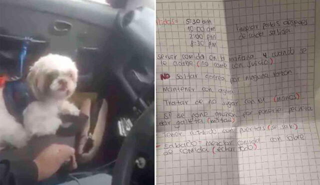 El chofer del taxi decidió publicar esta historia en redes sociales para denuncia el abandono del can. Foto: composición LR/captura de YouTube /Valentina Miranda