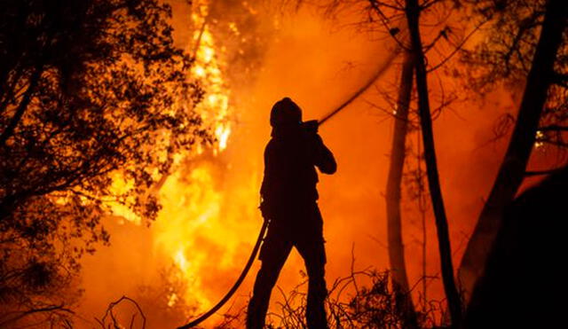 Los 2 incendios desencadenados a mediados de julio, en plena ola de calor, quemaron más de 20.000 hectáreas de bosque. Foto: EFE