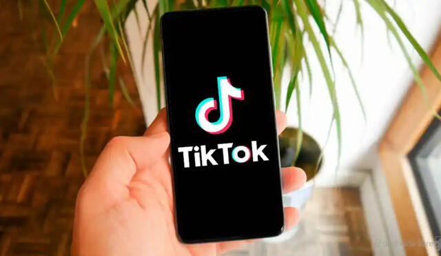 El proceso para descargar videos de TikTok sin marca de agua es sencillo. Foto: CNET en español
