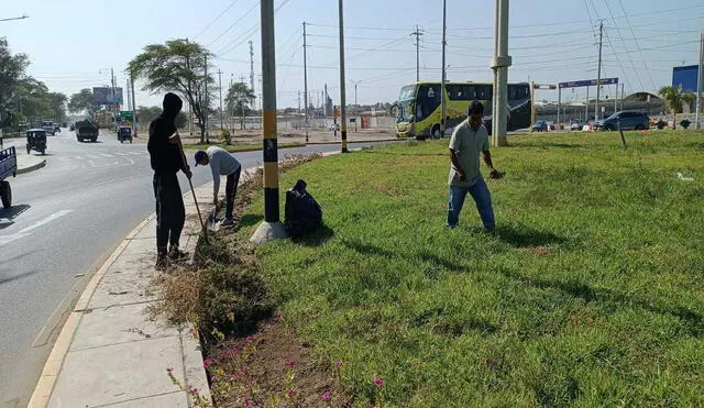 Un total de 210 toneladas de basura recogió la Municipalidad de Sullana durante las celebraciones de Fiestas Patrias. Foto: Facebook/Municipalidad de Sullana