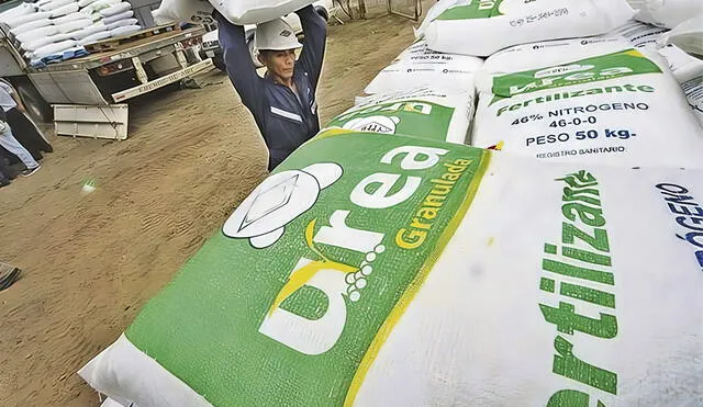 Beneficiarios. Primera compra de fertilizantes se destinará a agricultores con menos de 5 hectáreas de cultivos. Foto: difusión