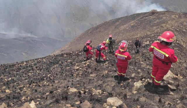 El iincendio en Sicuani se registró en las comunidades de Chihuaco y Suyo. Foto: COER Cusco