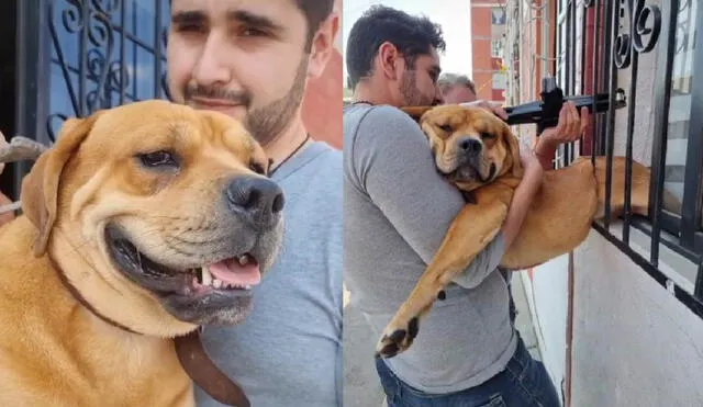 El can sorprendió a sus dueños con su nueva travesura. Foto: composición LR/captura de TikTok/@fergutierrezquinz