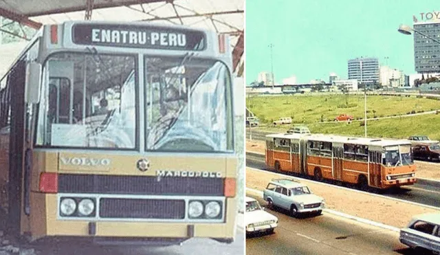 Los buses Ikarus contaban con un total de 52 paraderos y más de 1.000 vehículos. Foto: composición LR/Pinterest/Lima Antigua