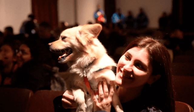 La función de cine con las mascotas se convirtió en la primera de este tipo en América Latina. Foto: CNN