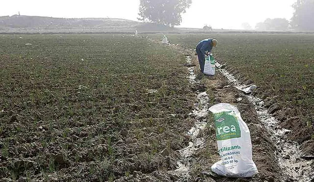 Alternativa. Agricultores buscan comprar fertilizantes ante demora del gobierno. Foto: La República/Archivo