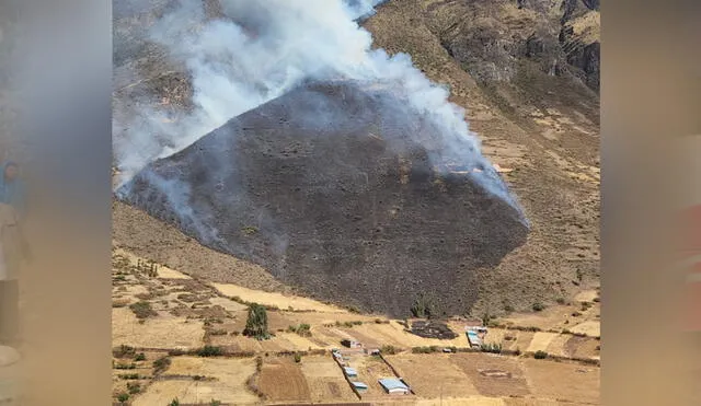 Incendio forestal se activó esta mañana en el distrito de San Salvador. Foto: PNP