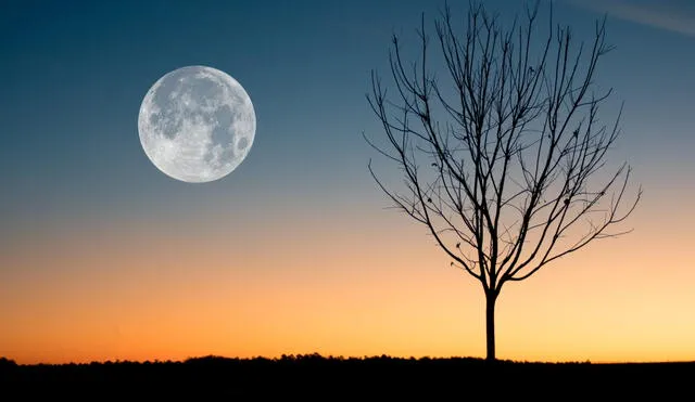 La luna llena de agosto recibe el nombre de luna de esturión. Como en esa fecha el satélite estará más cerca de la Tierra, dará lugar a una superluna. Foto: Pexels