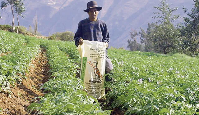 Fertilizante. Desde junio, Perú intenta comprar más de 65.000 toneladas de urea para salvar la campaña agrícola 2022-2023. Foto: difusión