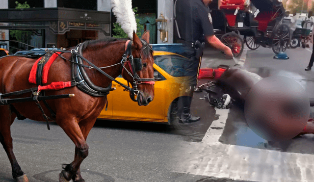 Testigos denunciaron que el caballo estuvo más de una hora en el suelo. Foto: A New York / Moluscotvclips