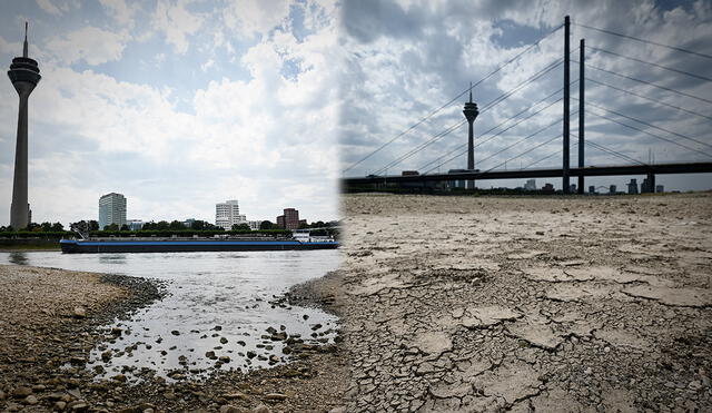 El nivel de agua del río Rin actualmente está en 42 cm, encima de la cifra histórica de 25 cm que alcanzó en 2018. Foto: composición LR/AFP