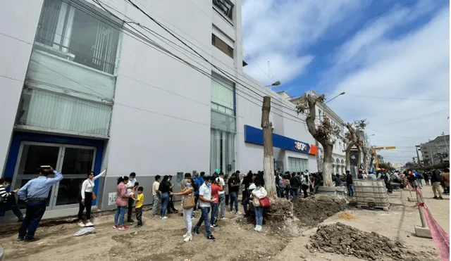 La Municipalidad Provincial de Chiclayo no respondió sobre la poda de árboles en la avenida José Balta. Foto: Rosa Quincho/ URPI-LR