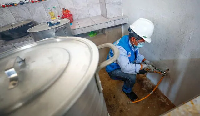 Gobierno exhorta al Congreso a modificar artículos que distorsionan la propuesta original de masificación del gas natural. Foto: Andina