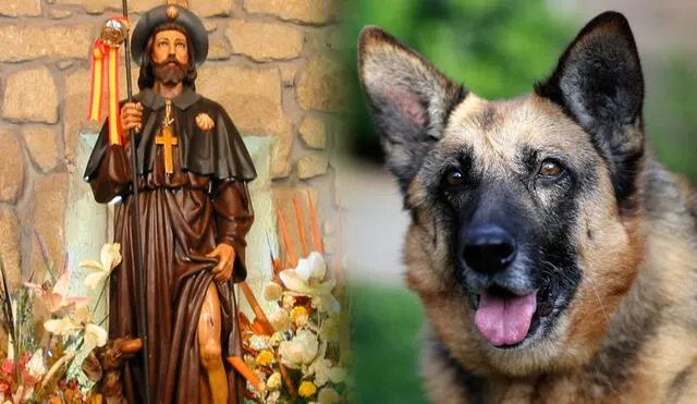 El Día de San Roque es también considerado como el Día de los Perros en algunos países. Foto: composición LR / Radio María Argentina / AFP