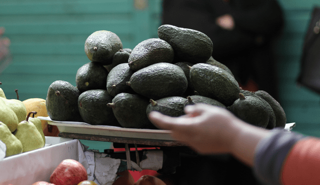 ProHass explicó que también el incremento del flete naviero y la paridad entre el euro y el dólar, alcanzada hace unas semanas, afectaron los despachos de palta peruana en el mundo. Foto: La República