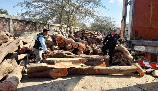 Intervinieron el producto forestal en una de las trochas carrozables del centro poblado San Francisco. Foto: Serfor