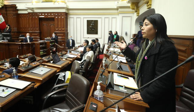 La congresista de Perú Democrático cuestionó a un sector del Congreso. Foto: Legislativo