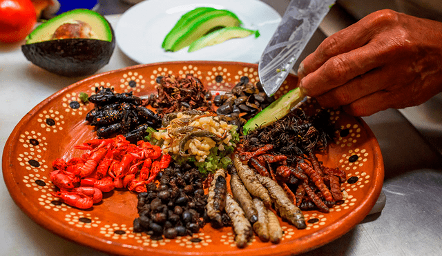 En México existen más de 500 insectos comestibles. Foto: Cocina Fácil