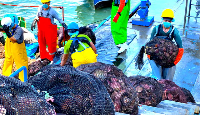 Especialistas de Sanipes confirmaron que, desde el mes de abril de 2021 a la fecha, se han ejecutado 23 monitoreos sanitarios. Foto: Produce