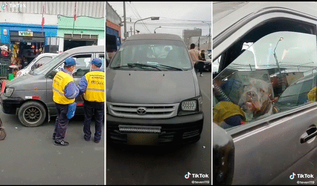 Los trabajadores municipales se llevaron gran sorpresa al encontrar al perro al volante. Foto: composición LR/@Teven119/captura de TikTok