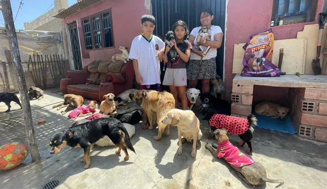 Ellos decidieron iniciar este proyecto hace 4 años y desde entonces han rescatado animalitos en situación de calle. Foto: Rosa Quincho/URPI-LR