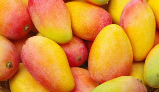 Producción del mango en el norte disminuyó. Foto: La República
