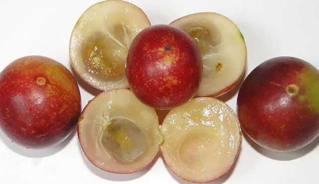 El camu camu es una fruta popular entre las personas por sus abundantes propiedades naturales. Foto: Agronoticias