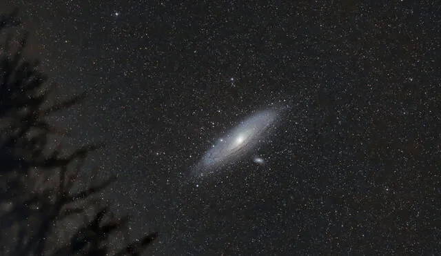 La galaxia de Andrómeda está ubicada a 2,5 millones de años luz de distancia. Foto: Caradon Observatory