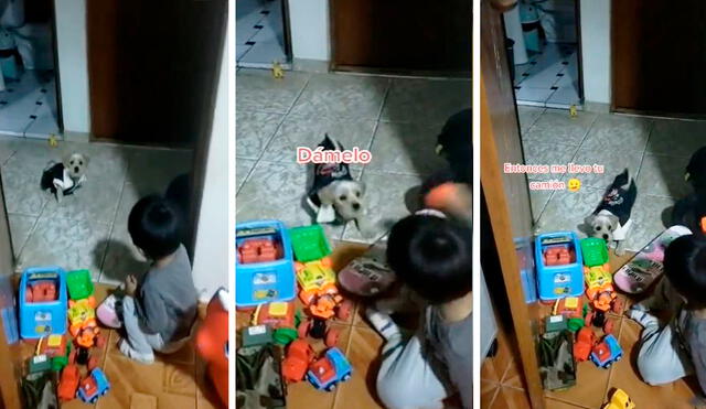 Una madre grabó el divertido momento que protagonizaron su hijo y la mascota, quienes se enfrentaron por unos juguetes. Foto: composición LR/TikTok/@lizzyrosablog