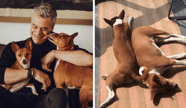Diego Bertie vivía en su departamento de Miraflores junto a sus perros Kali y Lua: Foto: Composición LR / Instagram diegobertie
