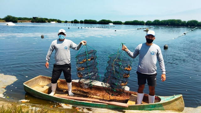 Proyectos de innovación acuícola se promueve en región fronteriza de Tumbes. Foto: Produce.