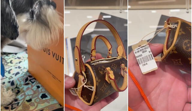 TikTok viral: joven acude a Louis Vuitton y se sorprende al saber