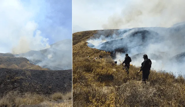 Incendio en las faldas del volcán Misti todavía no pudo ser controlado a horas de la noche. Foto: Serfor