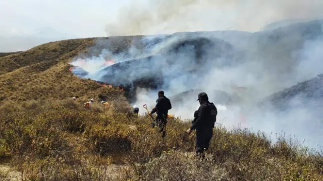 Daño. El incendio devora flora y fauna que habita el volcán. Foto: Serfor