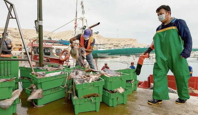 Embarcaciones. Los pescadores artesanales que hoy luchan por formalizarse se encargan mayormente de la captura de pota. Foto: difusión