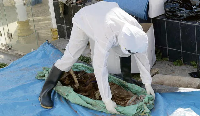 Exhumación. Se recuperaron algunos restos óseos. Denuncian irresponsabilidad de autoridades. Foto: Aprodeh Ayacucho